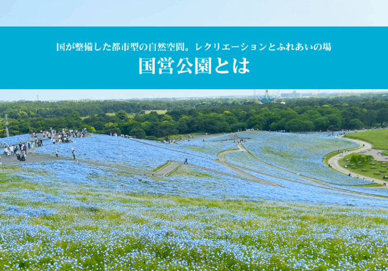 国営公園とは。国が整備した都市型の自然空間。レクリエーションとふれあいの場