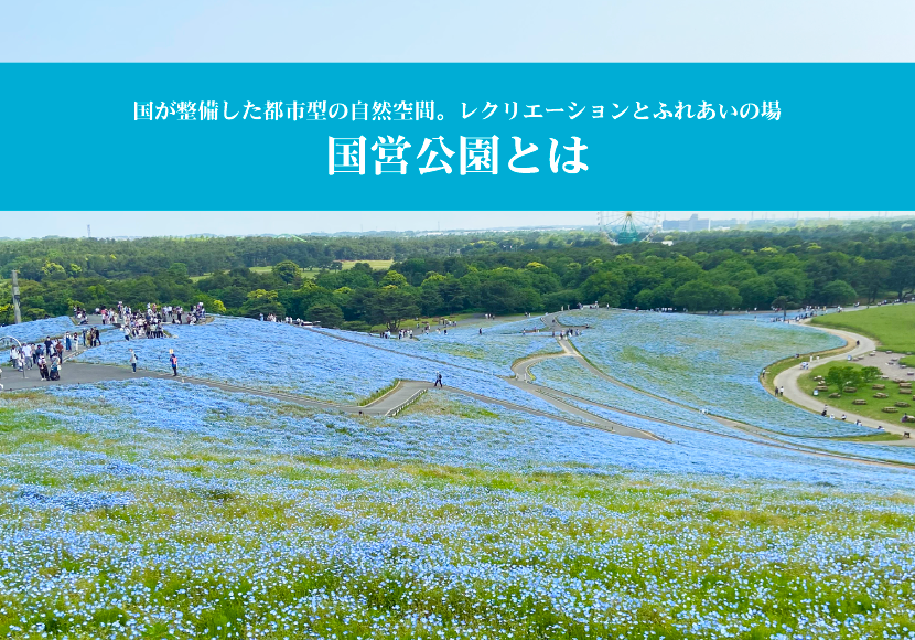 国営公園とは。国が整備した都市型の自然空間。レクリエーションとふれあいの場