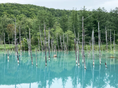 その池は確かに青かったのだ