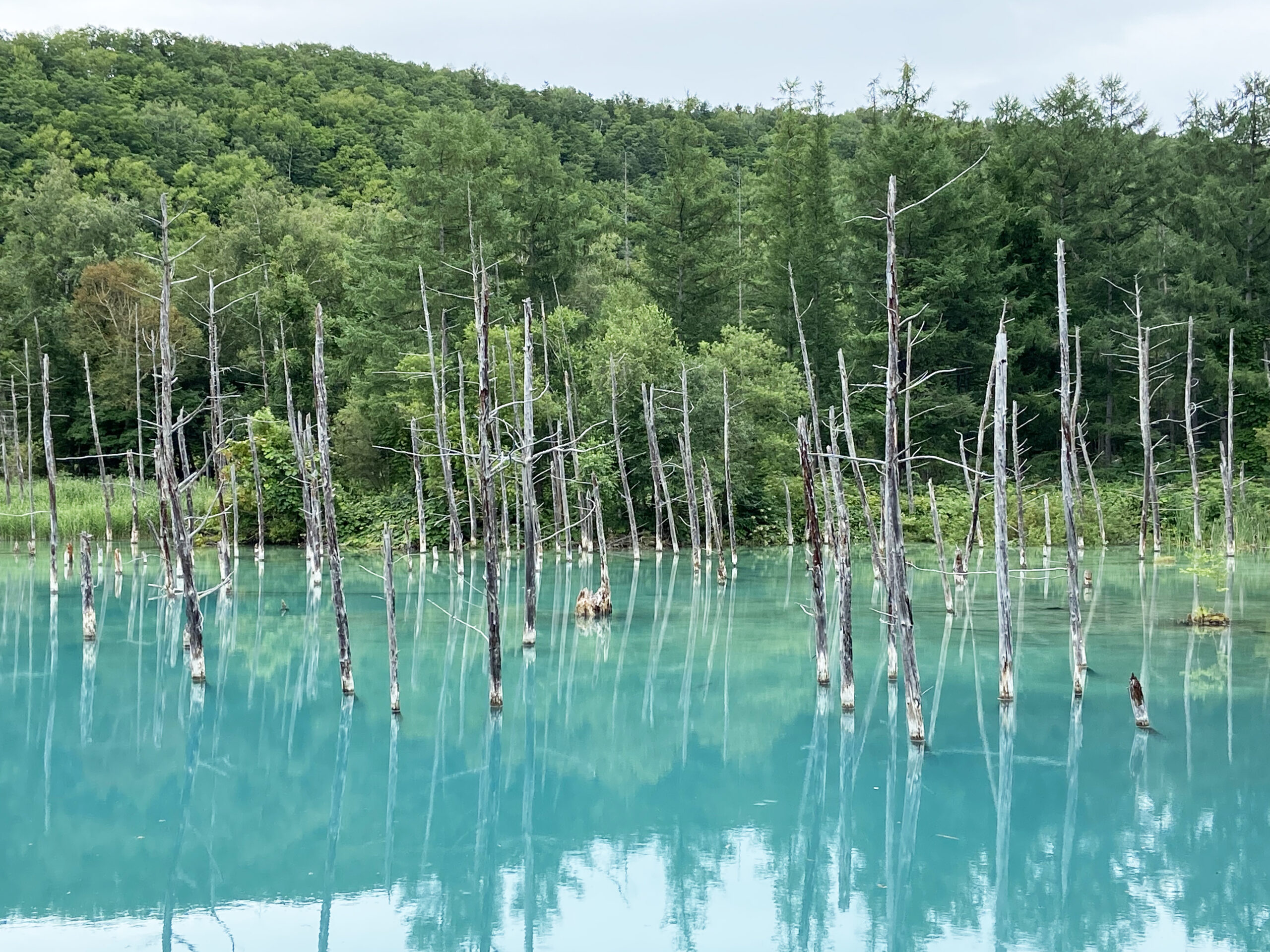 その池は確かに青かったのだ