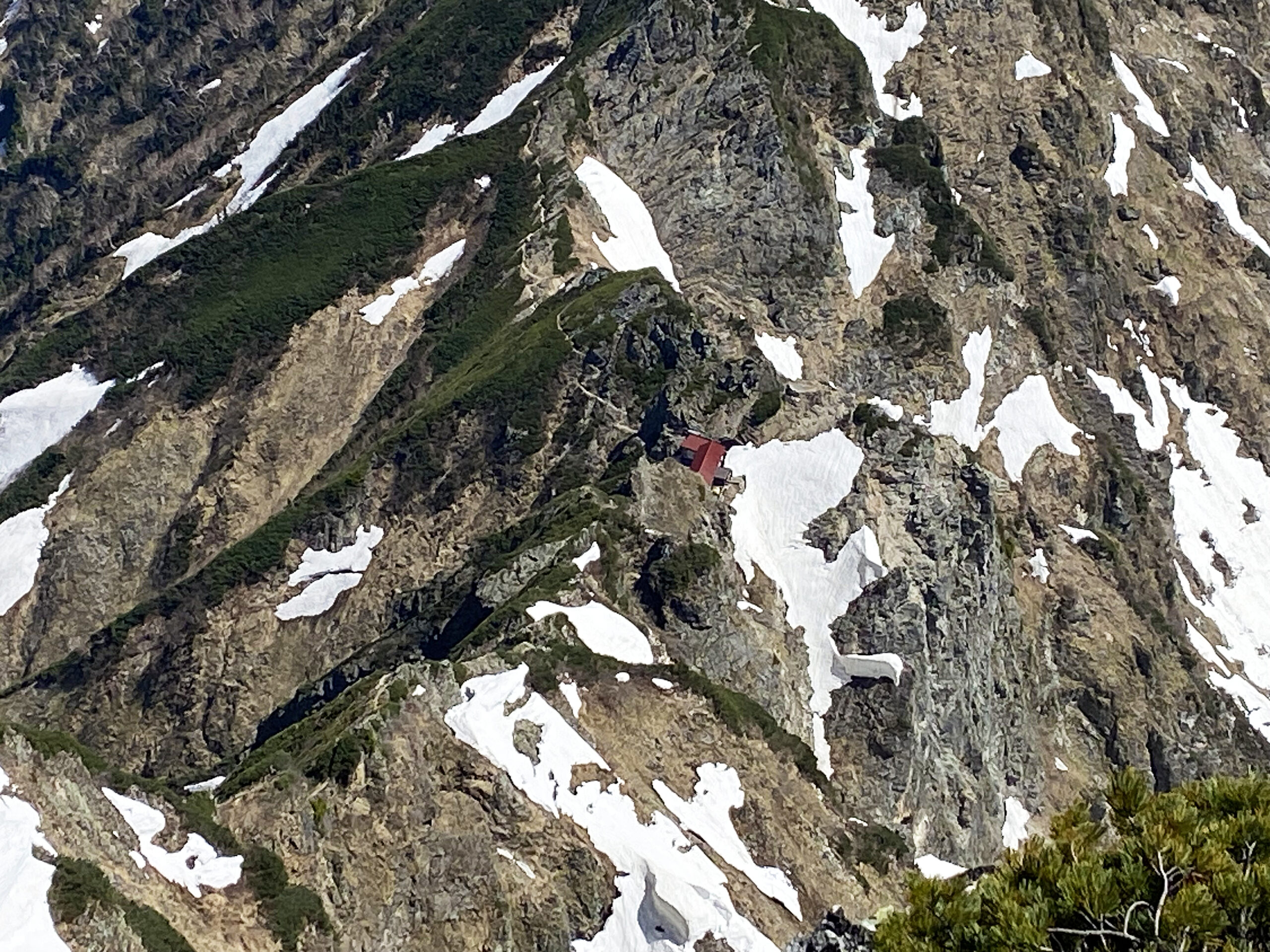 残雪の北アルプスを望む鹿島槍ヶ岳