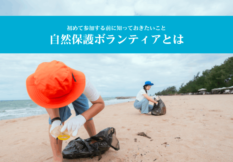 自然保護ボランティアとは？初めて参加する前に知っておきたいこと