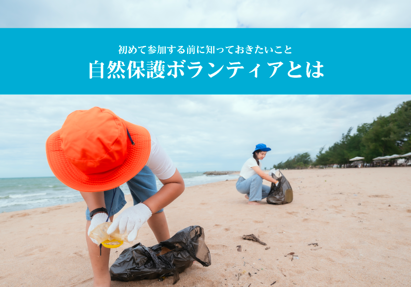 自然保護ボランティアとは？初めて参加する前に知っておきたいこと