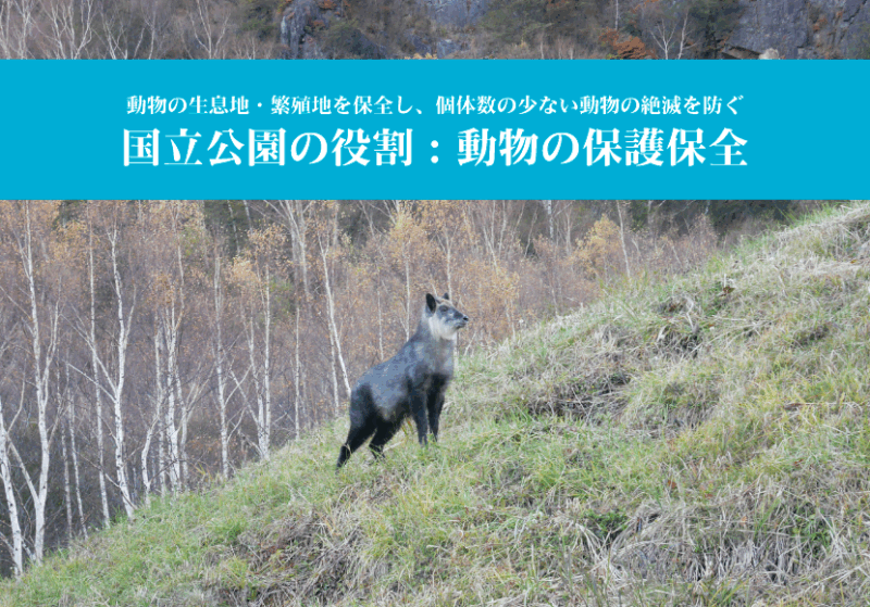 国立公園の役割。動物の生息地・繁殖地を保全し、個体数の少ない動物の絶滅を防ぐ