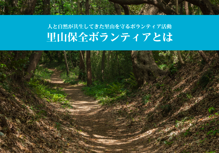 里山保全ボランティアとは？人と自然が共生してきた里山を守るボランティア活動